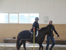 2017 Breddestævne
